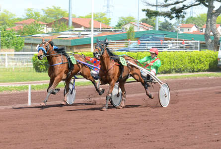 Actualités Hippiques